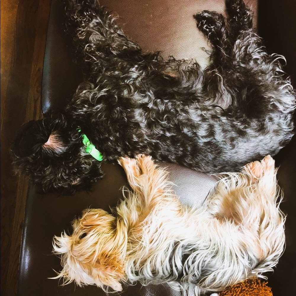 Meet your Posher, Kim